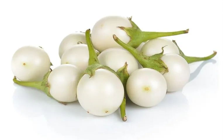White Brinjal Benefits: अंडे नहीं ये है सफेद रंग के बैंगन, इसके सेवन से सेहत को मिलते है ये शानदार फायदे
