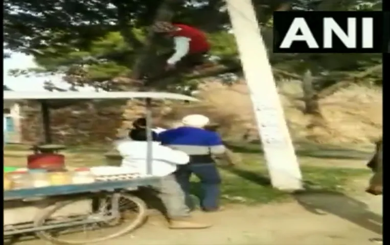 Viral video of Ballia: वैक्सीन न लेने की जिद पर पेड़ पर चढ़ा युवक, viral हुआ वीडियो