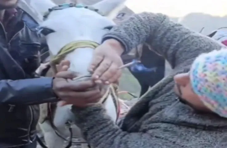 Uttarakhand: केदारनाथ यात्रा के दौरान खच्चर को सिगरेट पिलाते दिखे युवक, पुलिस ने किया गिरफ्तार