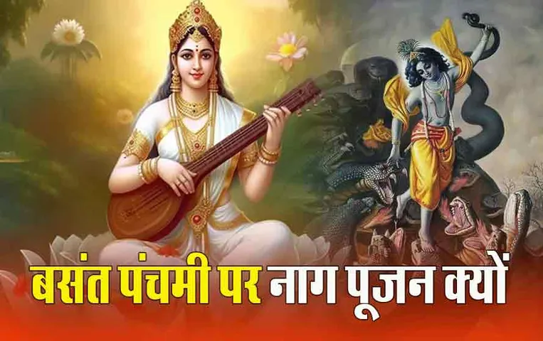Basant Panchmi 2024: बसंत पंचमी पर क्यों की जाती है तक्षक नाग की पूजा, जानें इसका महत्व और तरीका