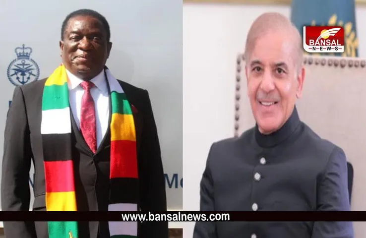 PAK VS ZIM: हार पर आमने-सामने दोनों देश के मुखिया, पाकिस्तान के पीएम ने दिया जिम्बाब्वे के राष्ट्रपति को जवाब