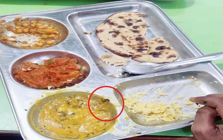 Bhopal Hotel News: होटल में खाना खाने वाले हो जाएं सावधान, सामने आई ये तस्वीर, लोग हैरान