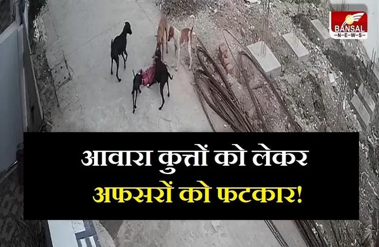 Dog Attacked Children: आवारा कुत्तों के आंतक को लेकर हाईकोट ने अफसरों को लगाई फटकार! जारी किया नोटिस