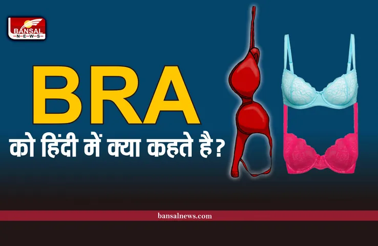 क्या होता है BRA का मतलब?, ब्रा को हिंदी में क्या कहते है, जानिए