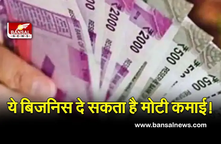 Business Idea : इस बिजनेस पर आपको मिलेगी 30% सब्सिडी, एक बार करें शुरू, जिंदगी भर होगी कमाई!