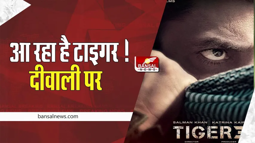 Tiger 3 New Release Date: इस दीवाली आ रहा है टाइगर ! सलमान ने रिलीज डेट के साथ अपना लुक किया शेयर, देखें