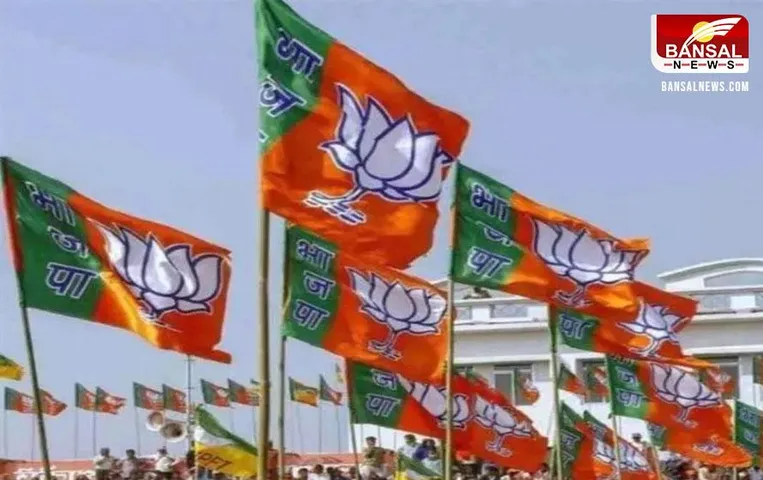 Leaders from Basatar: छत्तीसगढ़ बीजेपी मंत्रिमंडल में बस्तर से इन नेताओं के नाम पर चर्चा गर्म