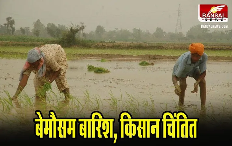 CG News: सरगुजा में रुक-रुककर हो रही है बारिश, किसानों के चेहरों पर छाई चिंता