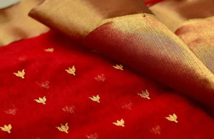 Chanderi Festival: 5 अक्टूबर से शुरू हो रहा है चंदेरी महोत्सव, बनते देख सकेंगे चंदेरी की साड़ियां, DJ Night's के साथ ये होगी खासियत