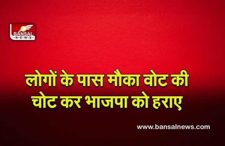 Politics : लोगों के पास मौका है कि भाजपा पर वोट की चोट करके महंगाई, बेरोजगारी और अत्याचार को हराएं : कांग्रेस