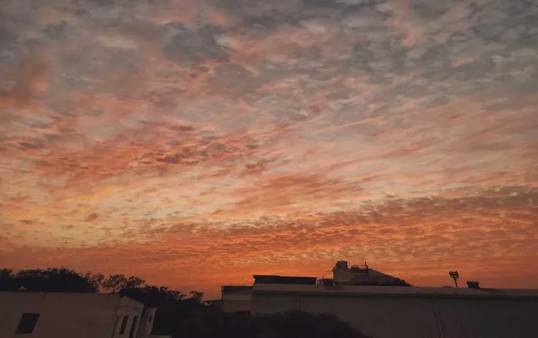 MP Weather Update: मध्यप्रदेश में दिखने लगा ठंड का असर, नवंबर के पहले हफ्ते में बदलेगा मौसम