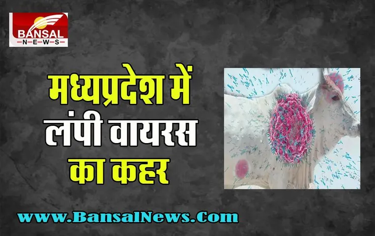 MP Lumpy Virus: अब एक्शन मोड में आ गई शिवराज सरकार ! सीएम शिवराज ने बुलाई इमरजेंसी बैठक