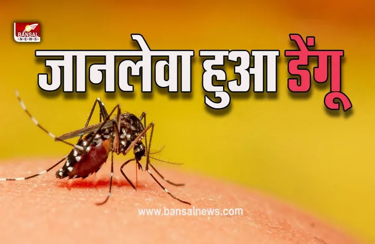Dengue In Bhopal : बैरागढ़ में डेंगू से किशोर की मौत, चार दिन पहले चल बसा था भाई, भोपाल के इस एरिया में सबसे ज्यादा डेंगू