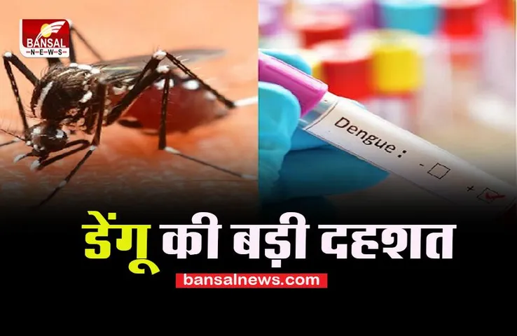 Delhi Dengue Cases: कोरोना नहीं डेंगू के मामलों ने बढ़ाई चिंता ! 400 के करीब पहुंचा मरीजों का आंकड़ा