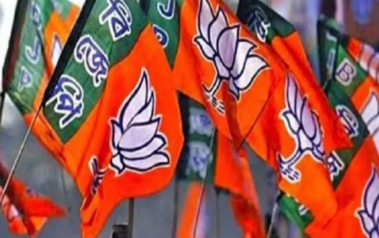 MP News: BJP का बड़ा एक्शन, धार नगर पालिका अध्यक्ष समेत 7 नेता 6 साल के लिए पार्टी से निष्कासित