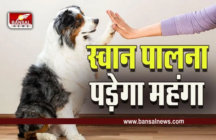 MP Sagar Pet Dog News : अब घर में स्वान पालने वालों को भरना होगा टैक्स!  इस दिन से लागू हो रहा है नियम