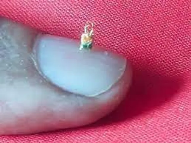 World Smallest Bag: क्या आपने देखा दुनिया का सबसे छोटा बैग, देखने के लिए पड़ेगी लेंस की जरूरत