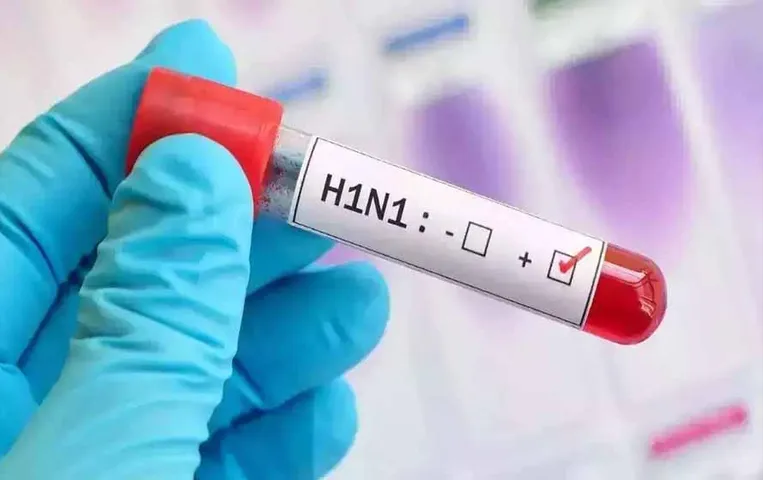 Durg News: स्वाइन फ़्लू से दुर्ग जिले में दहशत का माहोल, एक के बाद दो और मरीज मिले