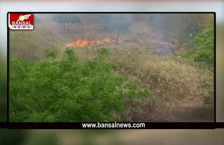 Bhopal Ecological Park Fire : भोपाल के ईकोलॉजिकल पार्क में लगी भीषण आग, फायर ब्रिगेड को दी सूचना