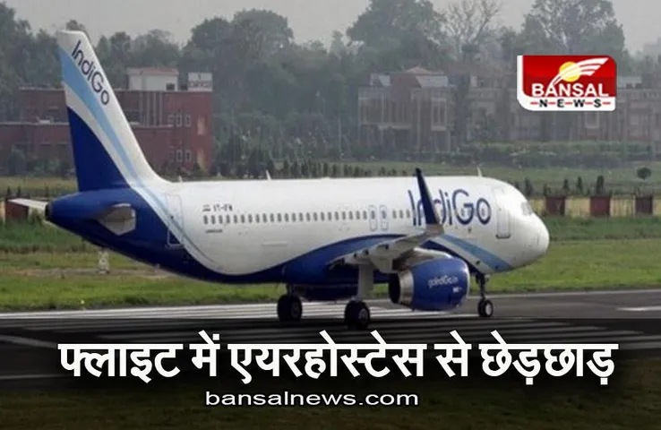 Flight Case: फ्लाइट में एयरहोस्टेस से छेड़छाड़ करना शख्स को पड़ा भारी, पुलिस ने किया गिरफ्तार