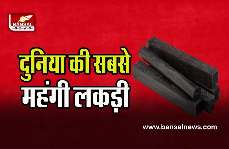 African Blackwood: 1 किलो लकड़ी खरीदने में चुकाने पड़ता है 10 तोला सोना ! जानिए दुनिया की सबसे महंगी लकड़ी के बारे में