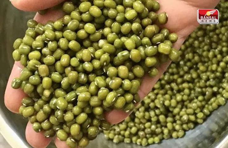 Kisan News: एमपी में समर्थन मूल्‍य पर मूंग खरीदी पंजीयन की तारीख बढ़ी