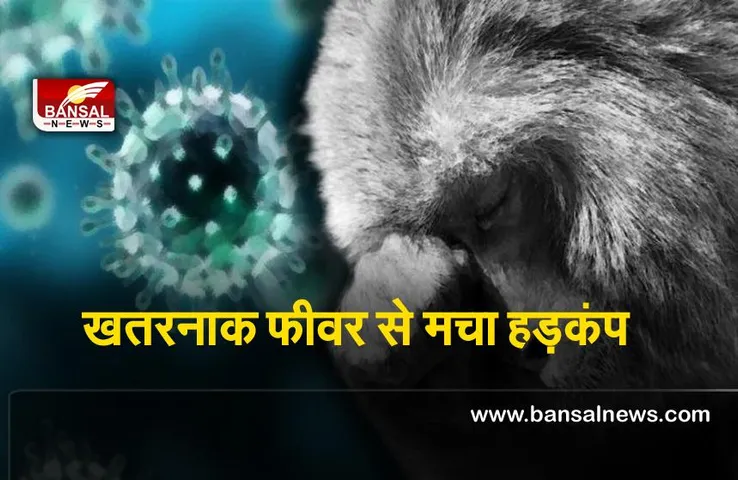 Wayanad News : वायनाड में लोगों को सताने लगा इस खतरनाक फीवर का डर