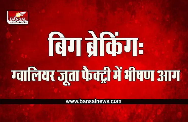 Gwalior Fire Big Breaking : बिग ब्रेकिंग: ग्वालियर जूता फैक्ट्री में भीषण आग, लाखों का सामान जलकर खाक