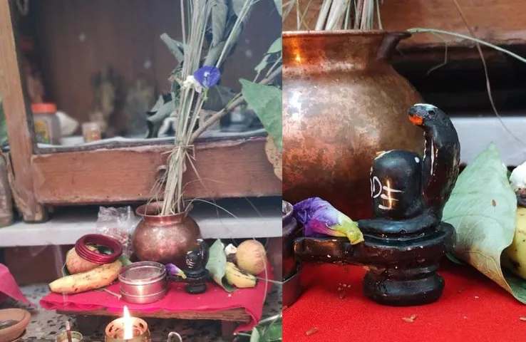 Hal Shashti 2023: आज इतने बजे तक है हल षष्ठी, संतान प्राप्ति के लिए करें कांस के पौधे का ये उपाय