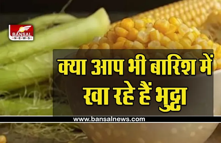 Corn Eating Effect : बारिश में भुट्टा खाने वाले पढ़ लें ये खबर, जान लें नफा-नुकसान