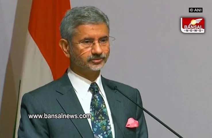 INDIA- PAK CRICKET: 'अगर मैं आपके सिर पर बंदूक रख दूं...' भारत-पाक सीरीज पर बोले विदेश मंत्री एस जयसंकर