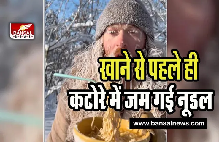 Noodle Snow Video Viral:  जब कड़ाके की ठंड में जम जाए नूडल तो क्या होगा ? देखें इस वीडियो में