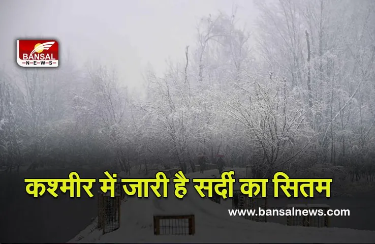 Weather Report : कश्मीर में जारी है सर्दी का सितम, अधिकतर हिस्सों में तापमान जमाव बिंदु के करीब रहा
