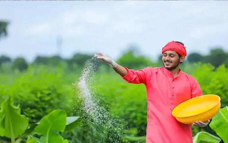 Punjab News: बाढ़ प्रभावित पंजाब में अनोखी पहल, अन्य किसान बाढ़ प्रभावित किसानों को दे रहे हैं निशुल्क बीज