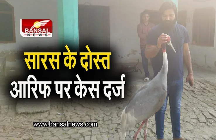 Uttar Pradesh: सारस पक्षी को बचाने वाले आरिफ पर केस दर्ज, वन विभाग ने भेजा नोटिस