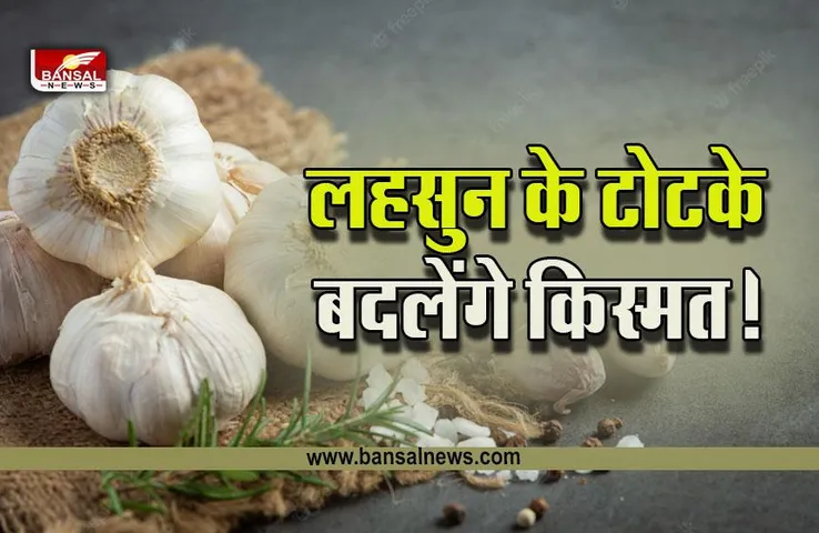 Lahsun Ke Totke : एक लहसुन का ये छोटा सा टोटका आपको कर देगा मालामाल