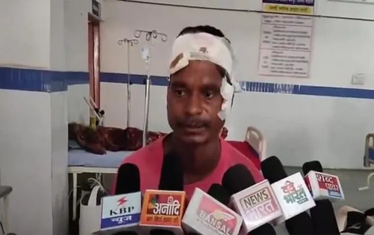 MP News: पिहरी तोड़ने गए युवक पर शेर ने किया हमला, घायल युवक ने इस तरह बचाई अपनी जान