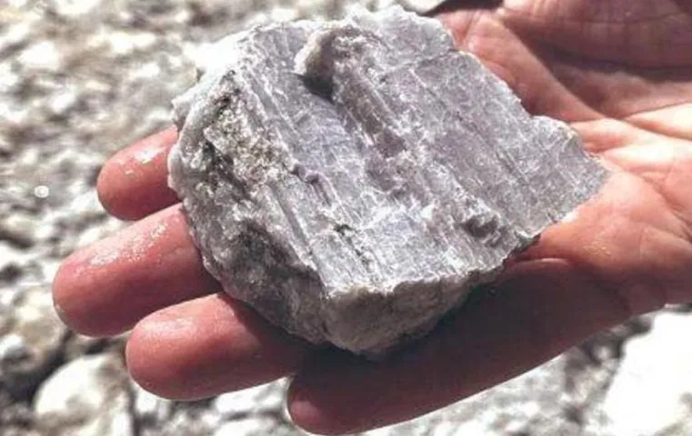 Central Cabinet: केंद्र ने लिथियम समेत दो दुर्लभ तत्वों के लिए तय किए रॉयल्टी दर, कैबिनेट ने दी मंजूरी