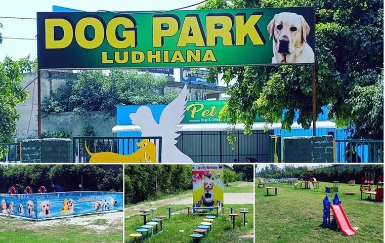 Dog Park: इस राज्य में कुत्तों के लिए उत्तर भारत का पहला पार्क खुला, स्विमिंग पूल से लेकर सारी सुविधाएं  हैं उपलब्ध