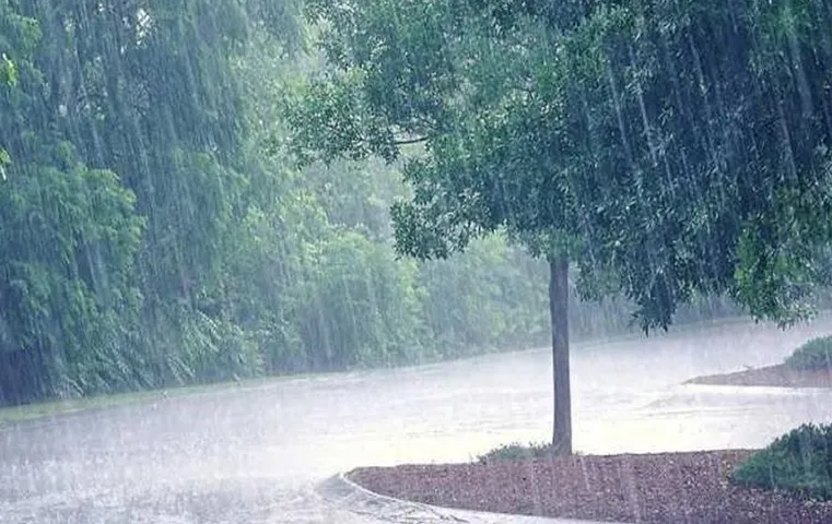 Weather Update Today: इन राज्यों में झमाझम होगी बारिश, जानें अन्य राज्यों के मौसम का हाल