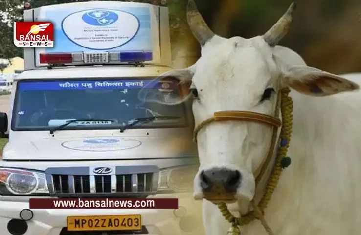 MP: भोपाल में आज गौरक्षा संकल्प सम्मेलन में जुटेंगे 1 लाख गौपालक