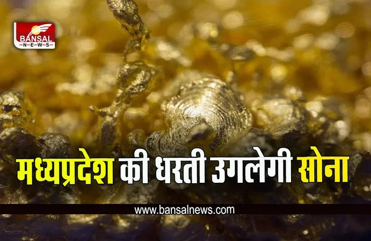Madhya Pradesh News : एमपी में मिली सोने की खदान, जीएसआई ने सौंपी रिपोर्ट, इस दिन से नीलामी शुरू