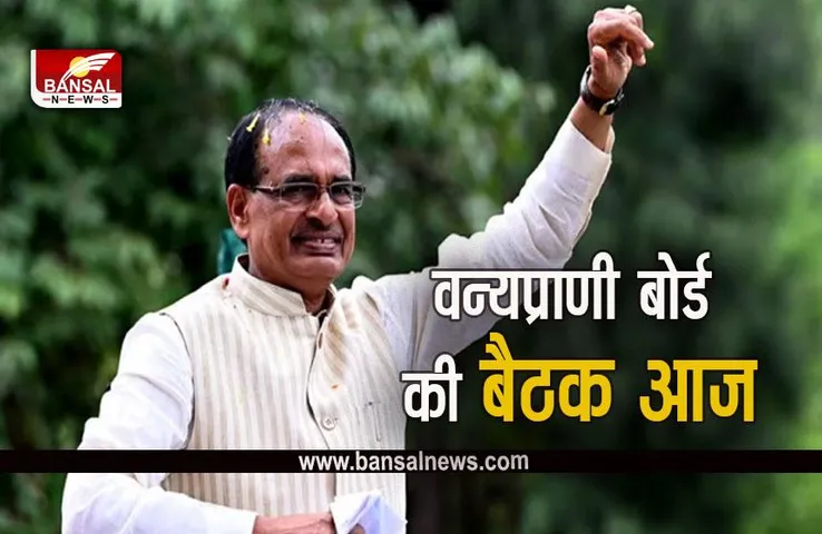 MP News: 39 साल बाद ओंकारेश्वर वन्यप्राणी अभयारण्य बनाने का प्रस्ताव