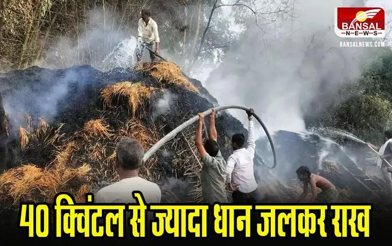 MP News: शहडोल में खलिहान में रखी फसल में लगाई आग, 40 क्विंटल से ज्यादा धान जलकर राख
