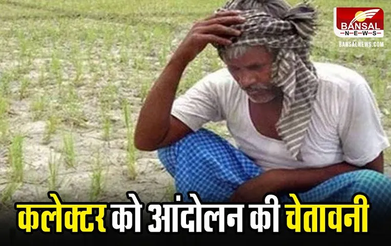 MP News: सिवनी में पानी के लिए तरस रहे किसान, नहर भी धंसी, कलेक्टर से की शिकायत