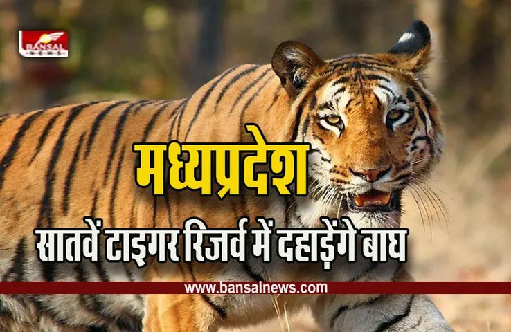 Madhav National Park : प्रदेश को मिलेगी सातवें टाइगर रिजर्व की सौगात! 26 साल बाद 15 जनवरी को छोड़े जाएंगे तीन बाघ