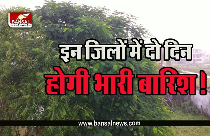 MP Weather Update : एमपी में फिर शुरू झमाझम बारिश का दौर, इन जिलों में यलो अलर्ट की चेतावनी