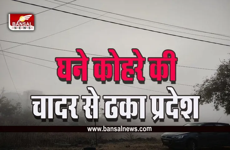 MP Weather Update: एमपी में घना कोहरा, गाड़ियों की रफ्तार पड़ी धीमी, मौसम विभाग का यलो-ऑरेंज अलर्ट