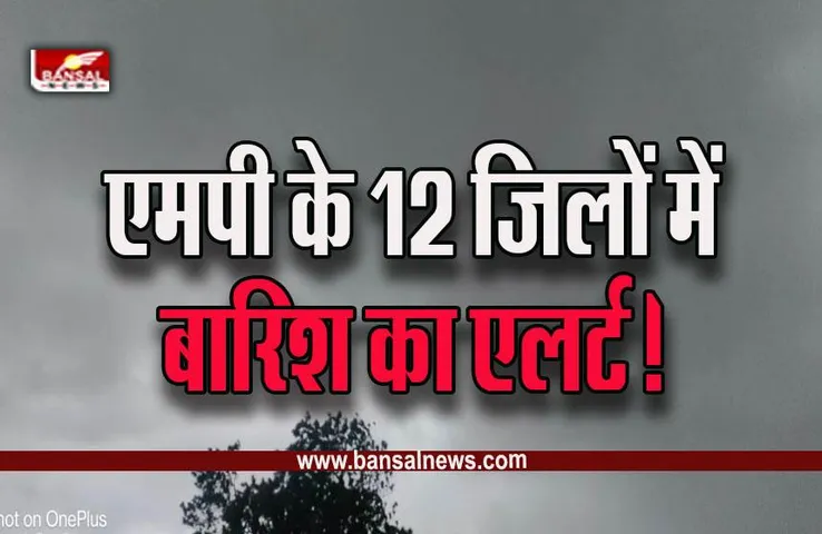 MP Weather Update : ठंड के बीच MP में मावठे की बारिश, 15 और 16 दिसंबर से पारे में गिरावट, कब तक ​रहेगा ये दौर