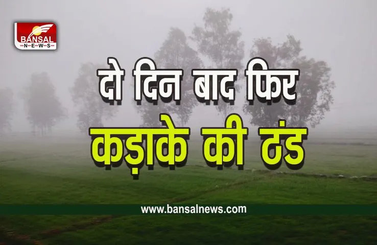 MP Weather Forecast Today : तीन दिन रहेगी राहत, फिर शुरू होगा ठंड का दौर